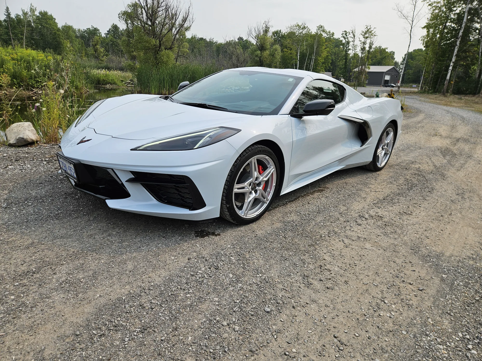 White Corvette after a detail